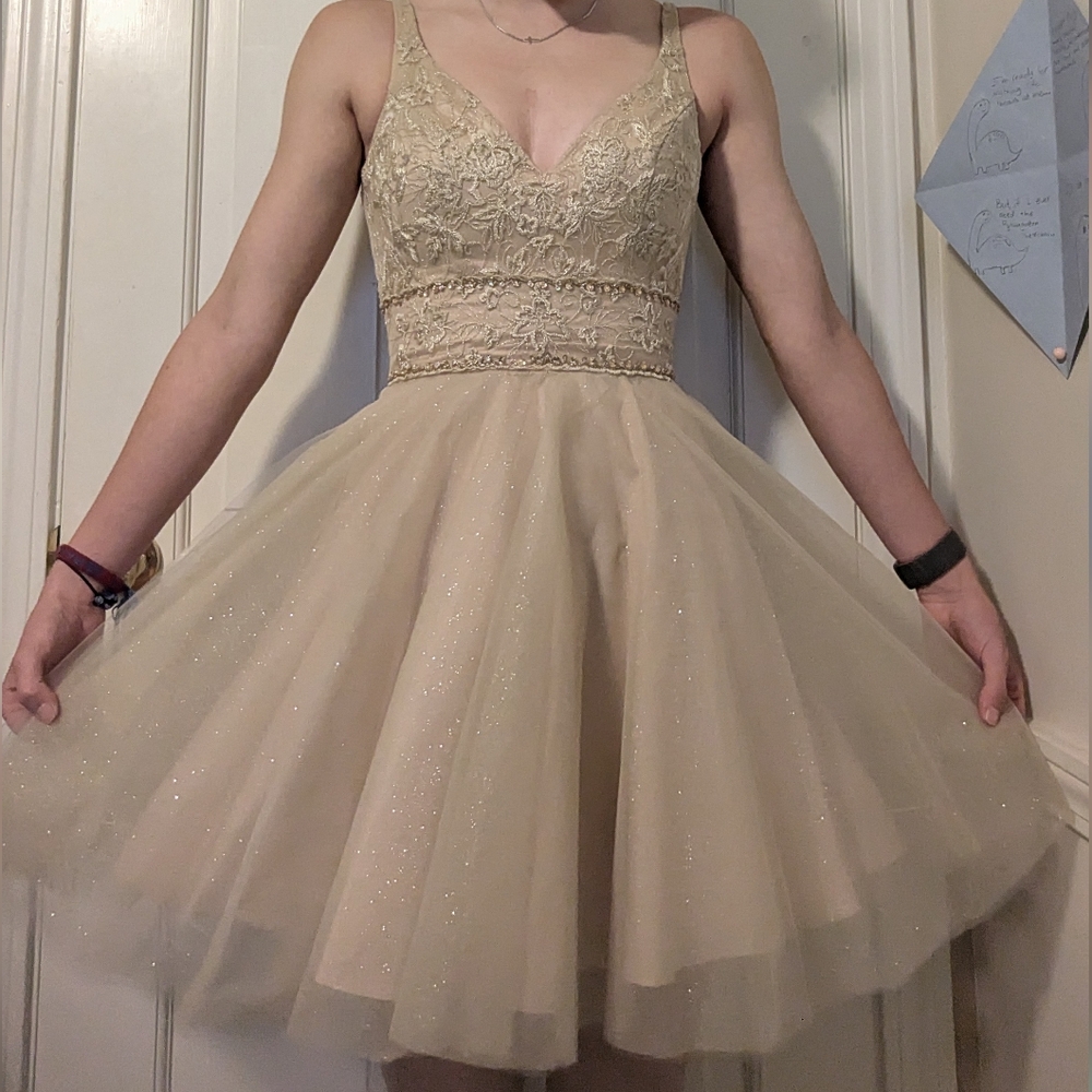 Elegant Beige Lace Dress